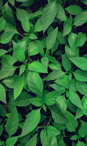 한양미래연구소 비전