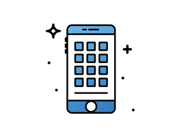 Application Developer